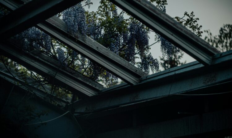 Step into the Glass Orangery: A Guide to the Natural Beauty